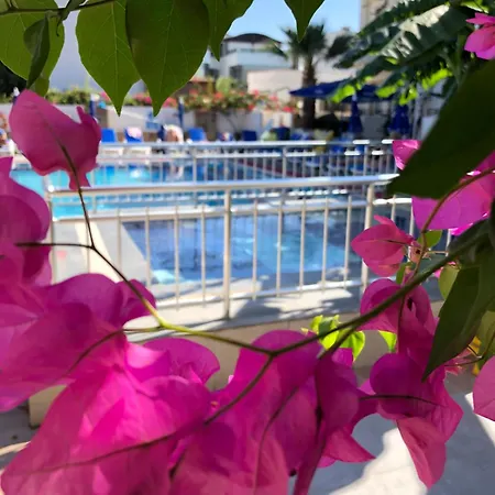 Lägenhetshotell Palmiye Bodrum